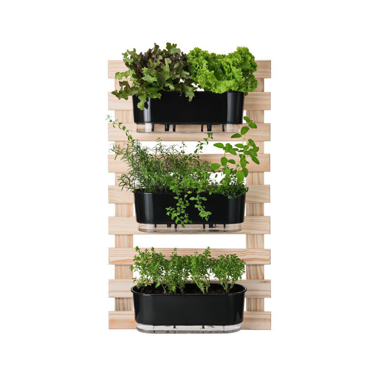 Kit Horta Vertical 100cm x 60cm com 3 Jardineiras Pretas Raiz + Suporte + Substrato + Argila - Foto 0