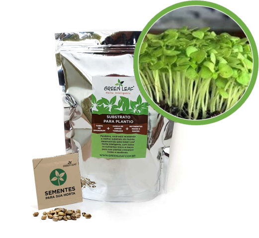 Kit para Plantio de Microverdes de Mostarda Lisa Green Leaf