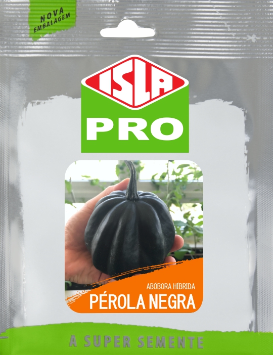 Sementes de Abóbora Mini Híbrida Pérola Negra Pacote com 20 sementes Isla Pro - Foto 0