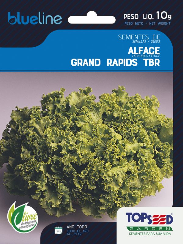 Sementes de Alface Grand Rapids TBR 10g - Topseed Blue Line - Foto 0