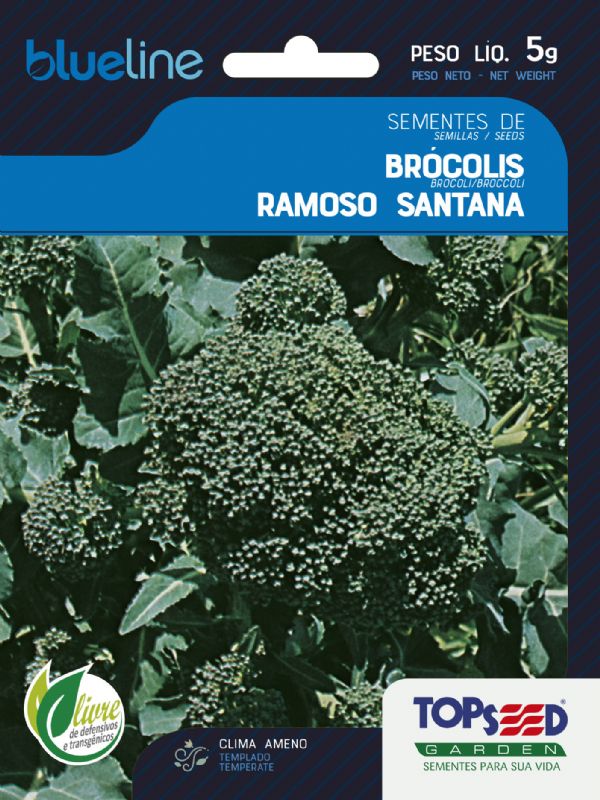 Sementes de Brócolis Ramoso Santana 5g - Topseed Blue Line - Foto 0