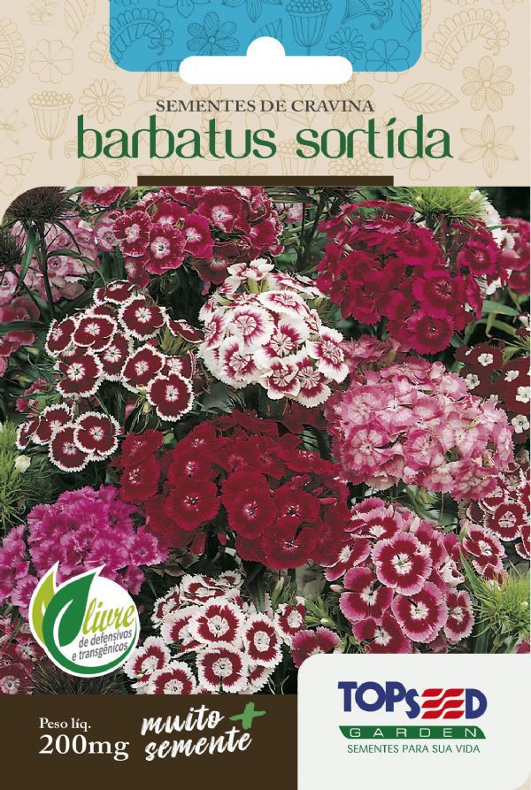 Sementes de Cravina Barbatus Sortida 200mg - Topseed Linha Tradicional Flores - Foto 0