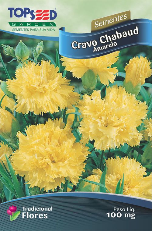 Sementes de Cravo Chabaud Amarelo 100mg - Topseed Linha Tradicional Flores - Foto 0