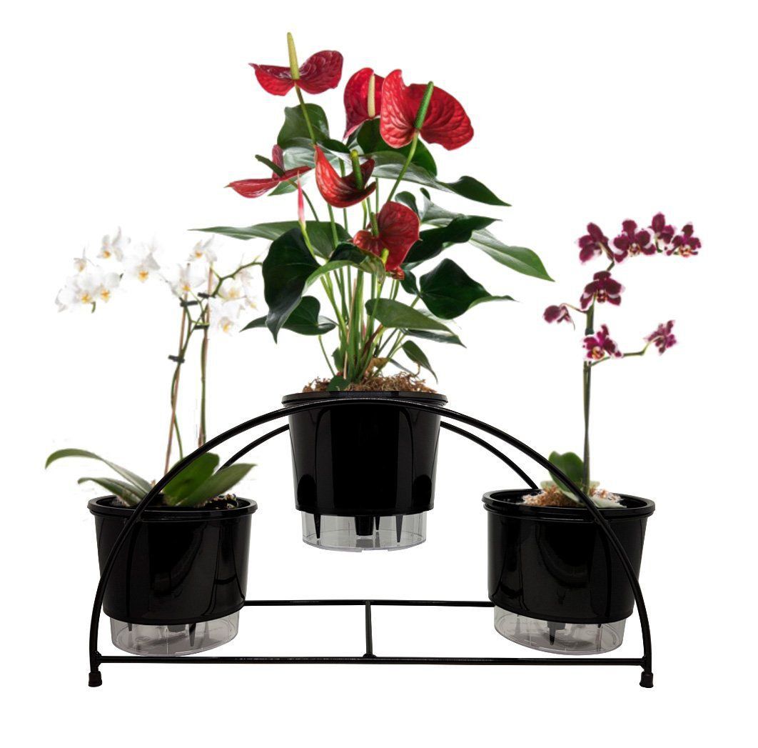 Suporte preto para 03 Vasos Autoirrigáveis tamanho Médio N03 Raiz (não acompanha vasos e plantas) - Foto 2