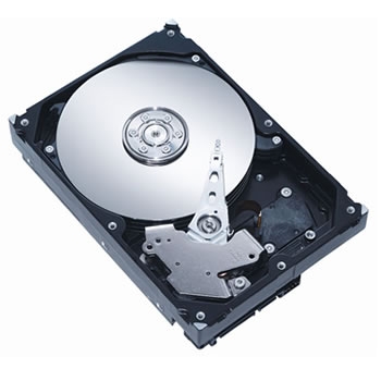 Hard Disk IDE 120GB7200RPM ST3120213CE - Seagate