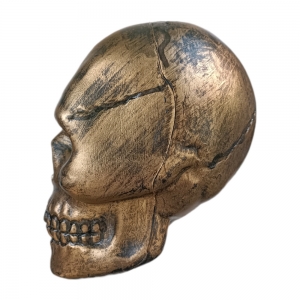 Crânio de Plástico Dourado para Decoração - 28 cm