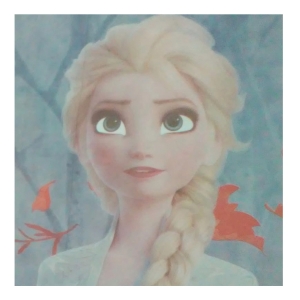 Tnt Estampado Frozen Elsa e Anna - Painel