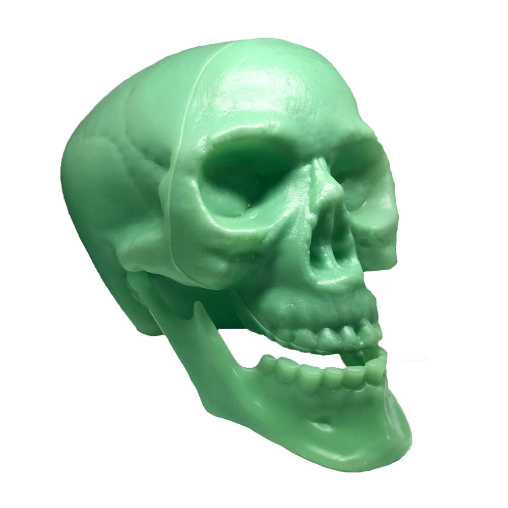 Crânio de Plástico Fluorescente