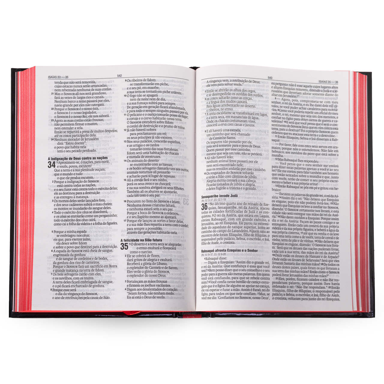 Bíblia Lettering - NAA