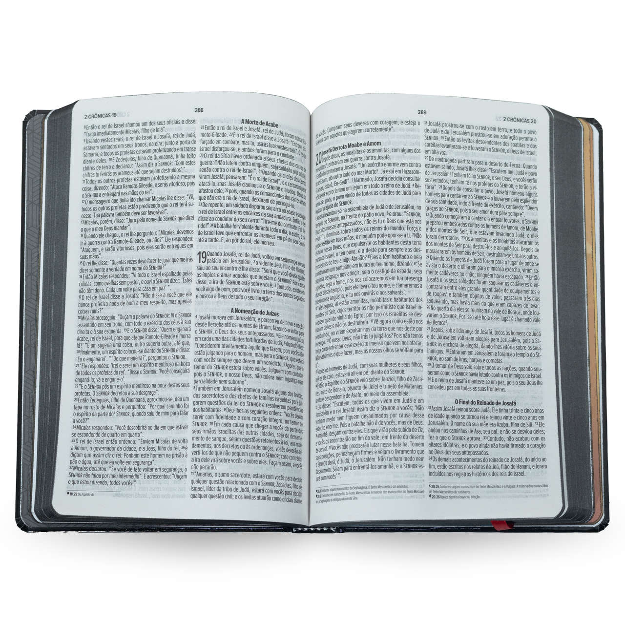 Bíblia Luxo 