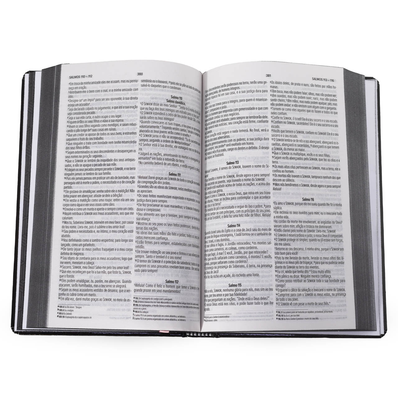 Bíblia Maranatha - NVI