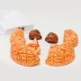 Cérebro avançado com artérias em 9 partes