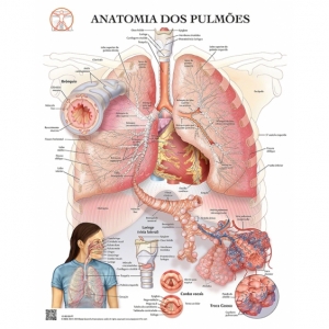 Pôster Anatomia dos Pulmões