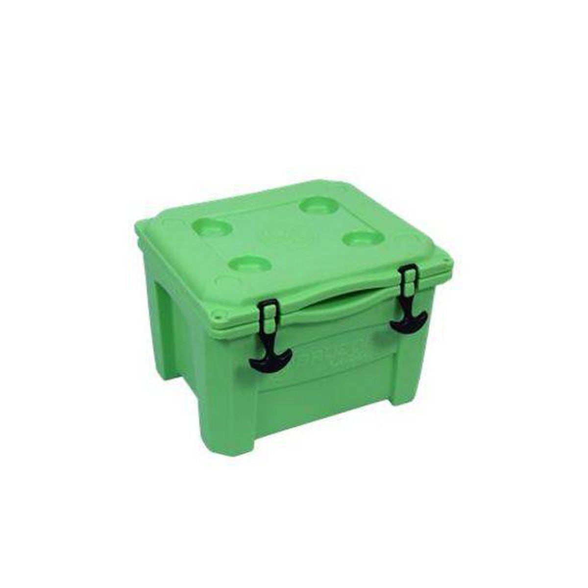 Caixa Termica/Cooler 15 Litros Brudden Verde/Lima