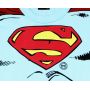 Camiseta Manga Longa Masculino Superman DC Comics Kamylus - Foto 1