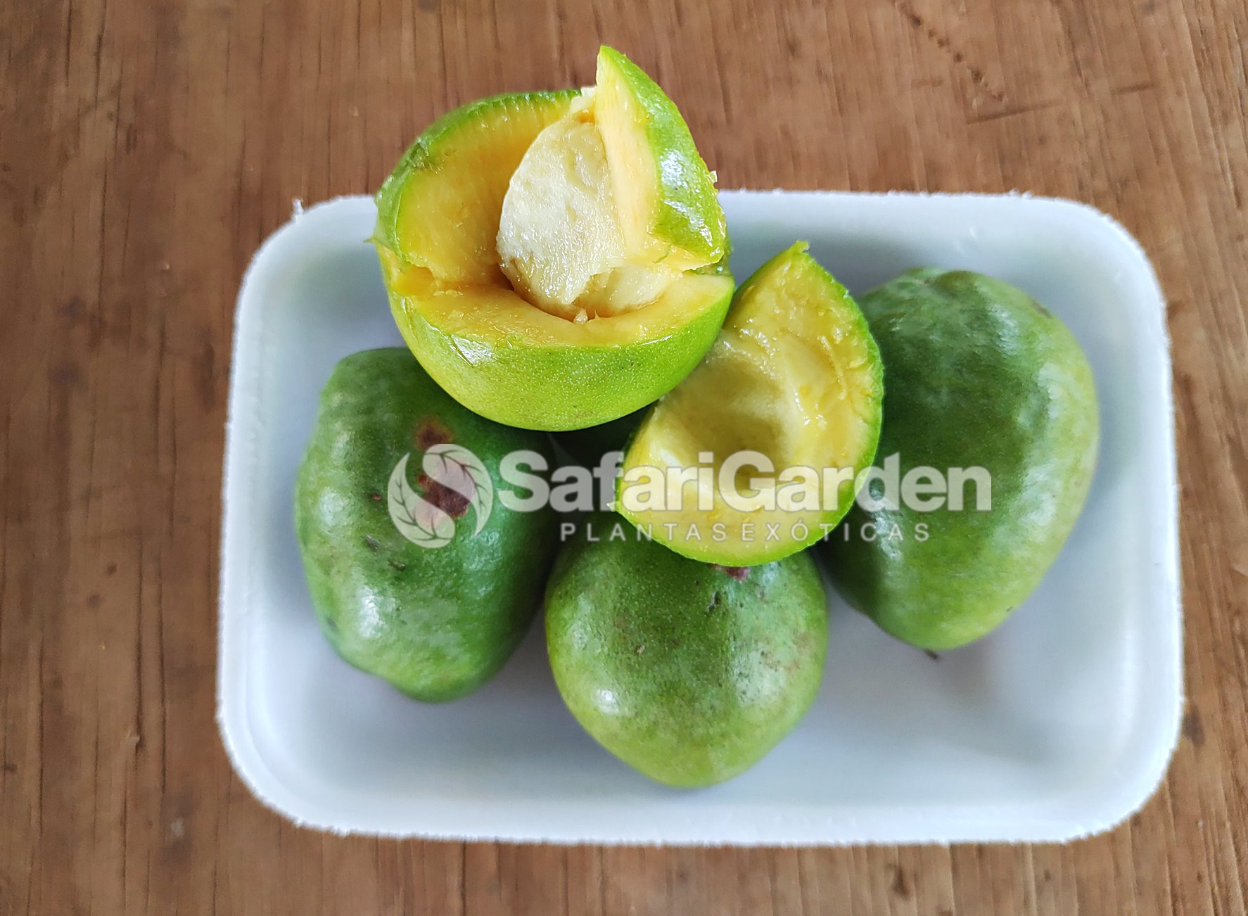 Fruta Sapota Branca - Exótica e Saborosa
