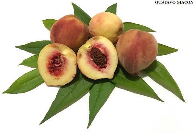 Muda de Pêssego Chiripá - Deliciosa Frutífera