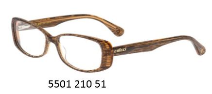 Armação Para Oculos De Grau Colcci 5501 Cod. 550199551 Marrom