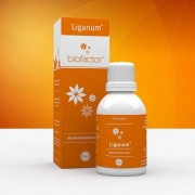 Liganum 50 ml Biofactor Fisioquantic