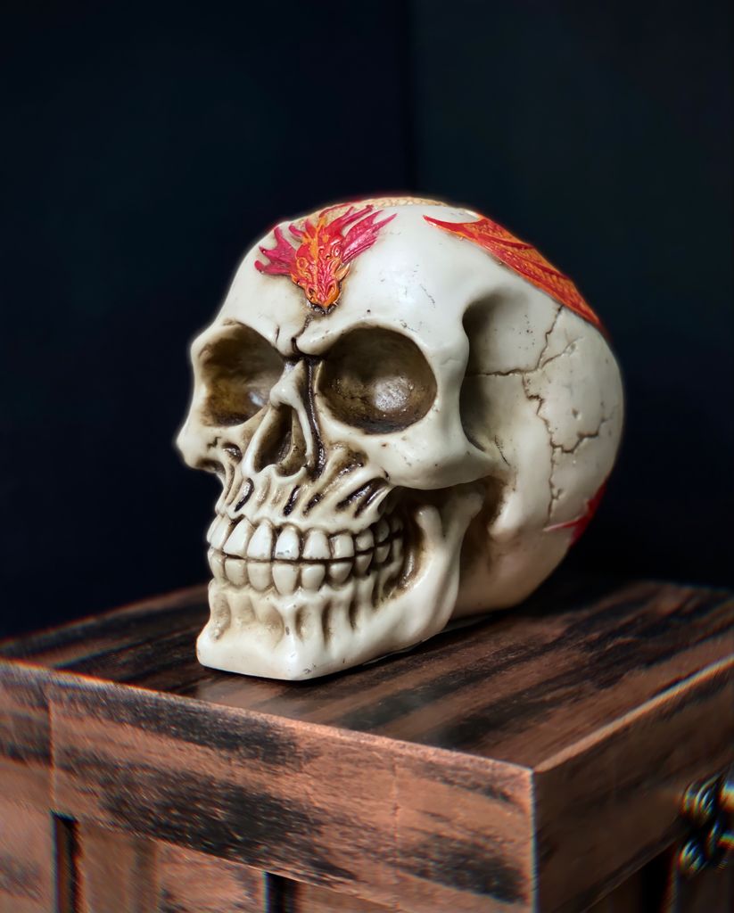 Caveira Crânio Skull Decorativa Tatuagem Tattoo Dragão Vermelho