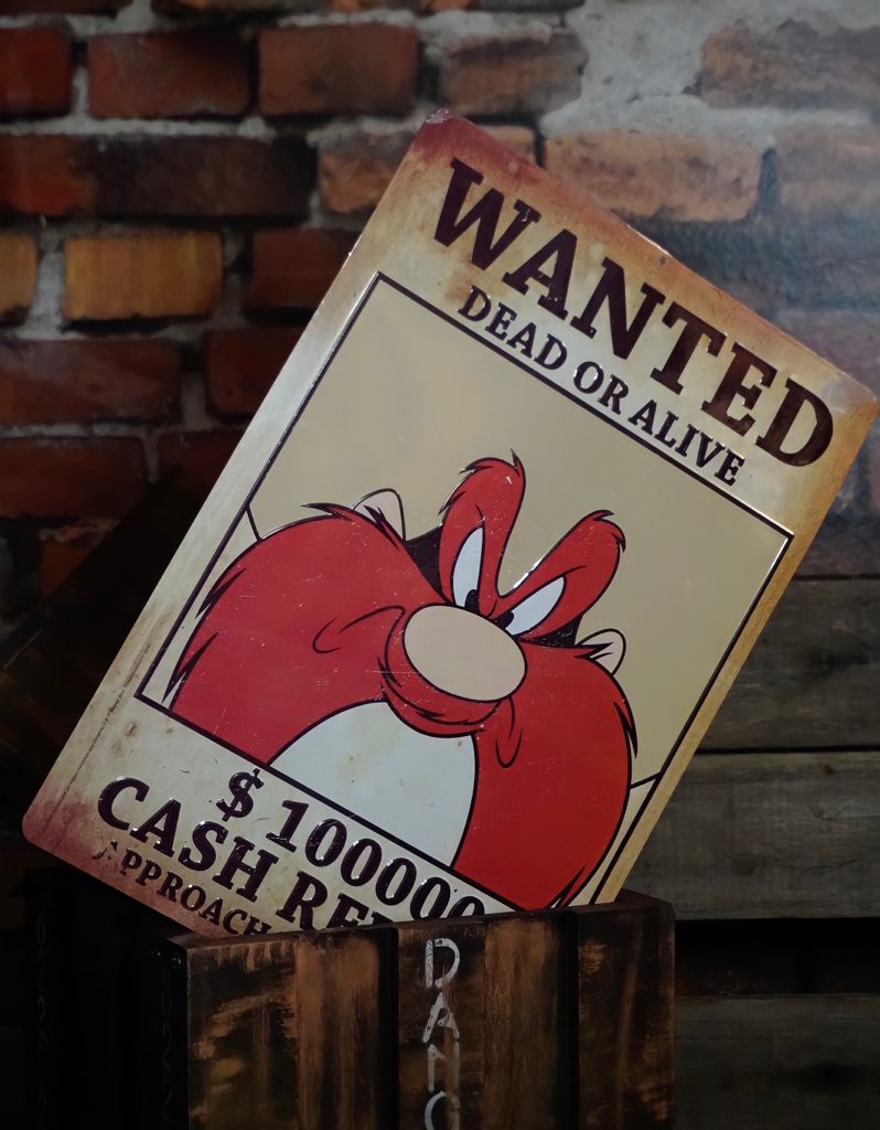 Placa de Alumínio Eufrazino Wanted: Looney Tunes - Metropole