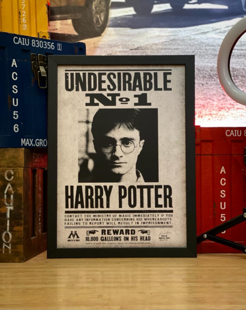 Quadro Com Moldura: Bruxo Harry Potter - 46x33- CD