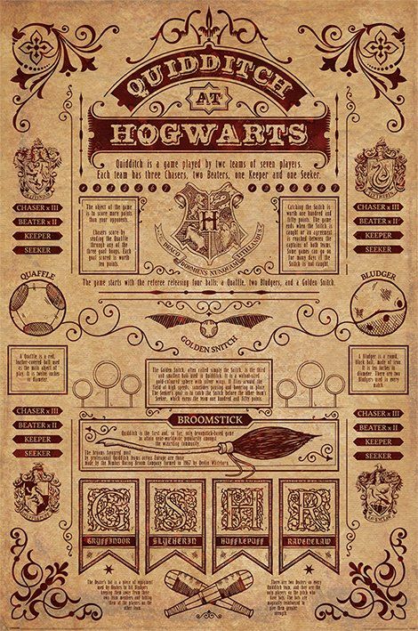 Quadro Quadribol: Harry Potter - Wall Street Poste
