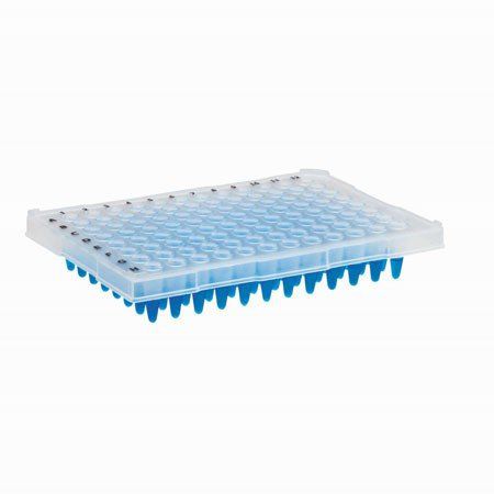 Microplaca de PCR Meia Borda 96 Poços - 25 und./ pct. Kasvi