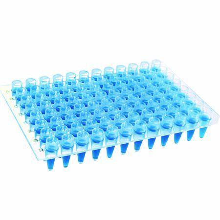 Microplaca de PCR sem Borda com Poços Elevados - 10 und./pct. Kasvi