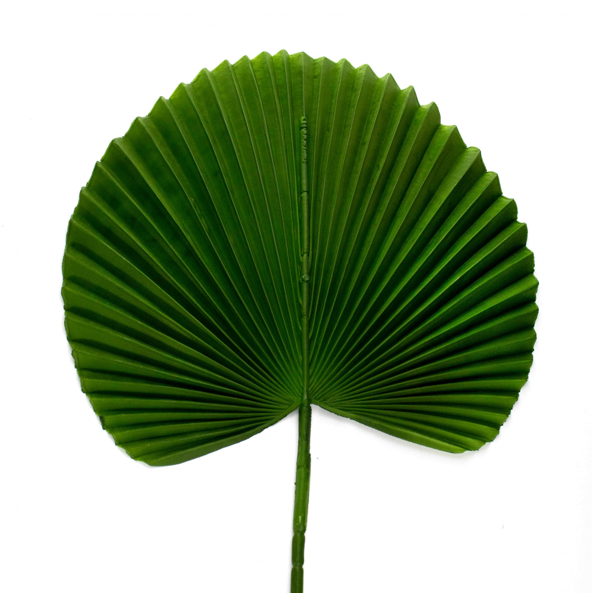 Folha Artificial de Latânia Verde Escuro 83 cm - D'Rossi