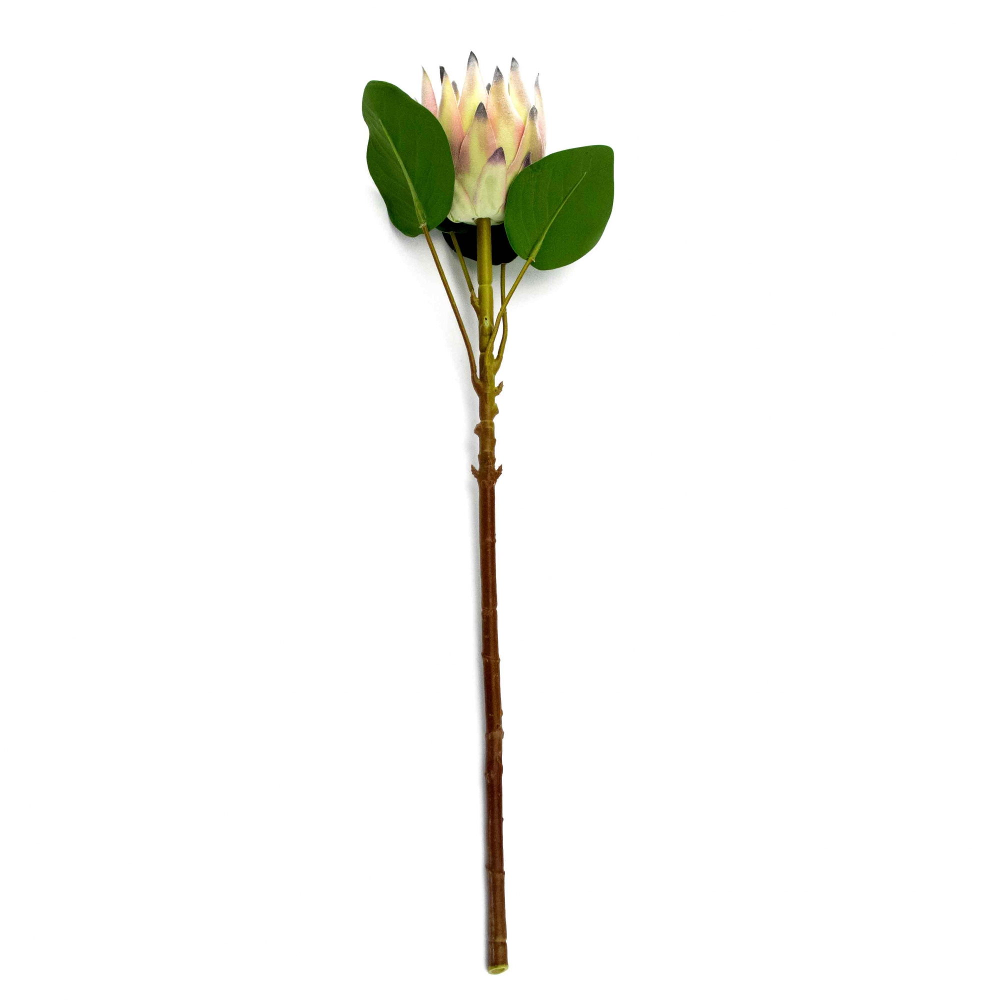Haste de Flor Artificial Protea com Coat Salmão 70 cm - D'Rossi