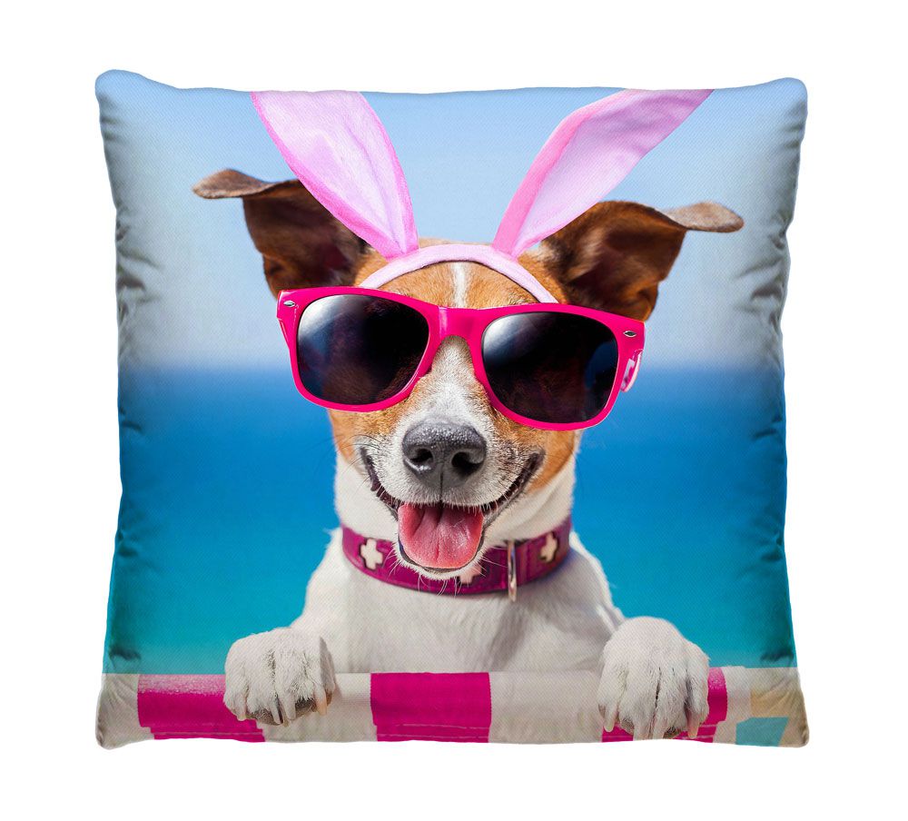 Almofada com Zíper Decorativa Dog na Praia