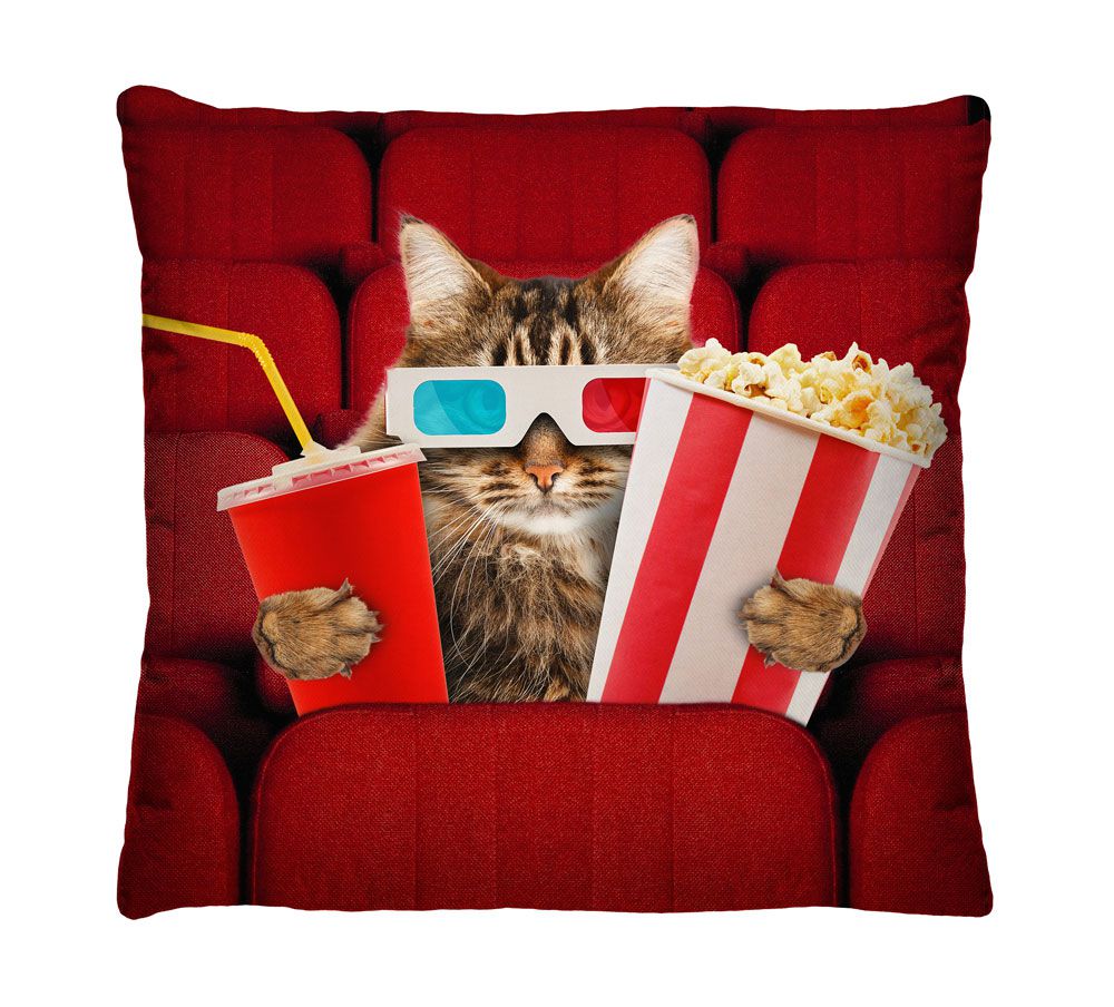 Almofada com Zíper Decorativa Gato no Cinema