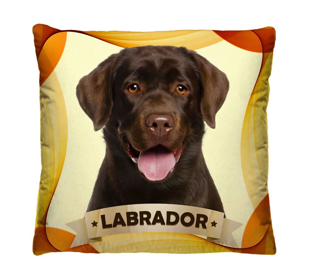 Almofada Labrador
