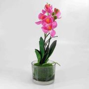 Flor Orquidea Phalaenopsis X5 Cor Rosa C/ Vaso Vidro Artificial Permanente 25CM 36679-001