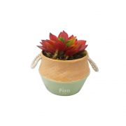 Kit Vaso Cerâmica Corda + Flor Suculenta