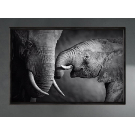 Quadro Decorativo Elefante 60x80cm com Moldura em Metal Preto