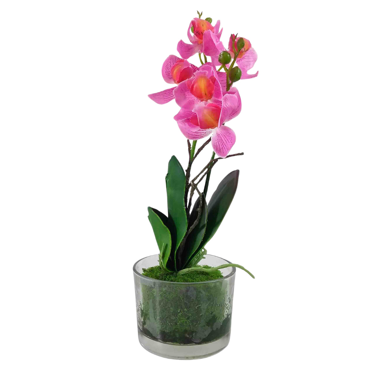Flor Orquidea Phalaenopsis X5 Cor Rosa C/ Vaso Vidro Artificial Permanente 25CM 36679-001