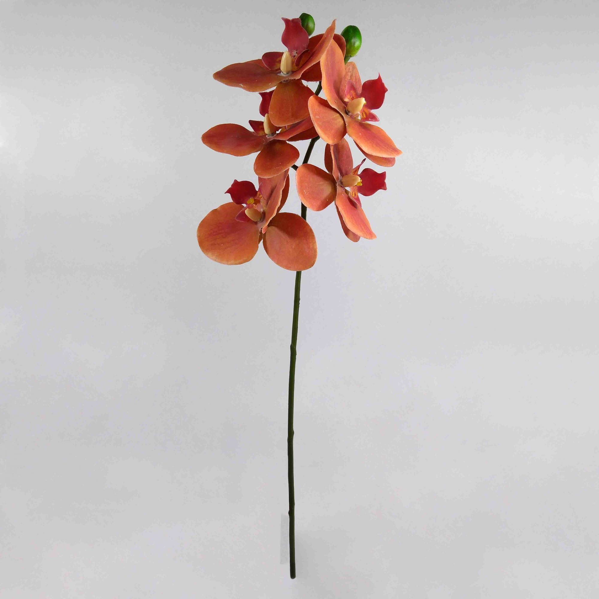 Kit Vaso Decorativo Vidro 19cm + Flor Orquídea Laranja