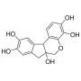 HEMATOXILINA (CI.75290) 25GR DINAMICA