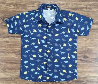 Camisa Dinossauro Infantil