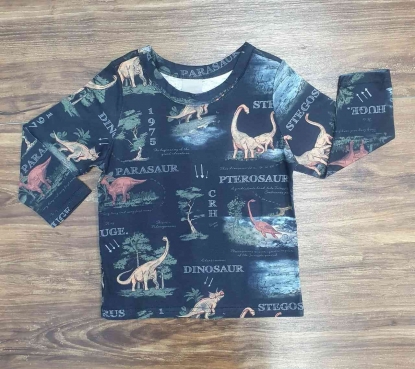 Camiseta Dinossauro Infantil