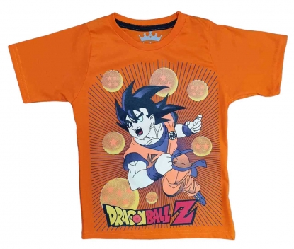 Camiseta Dragon Ball Z Infantil