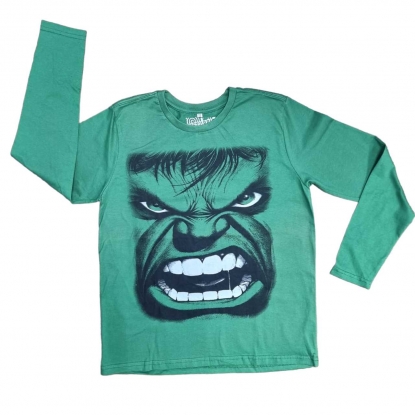 Camiseta Infantil Longa Hulk
