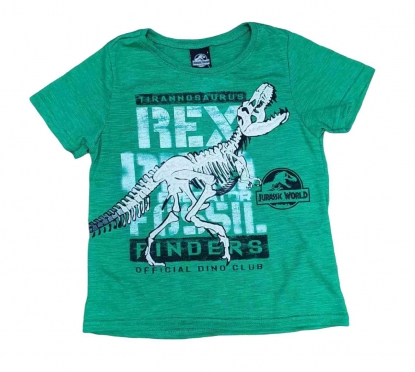 Camiseta Rex Infantil