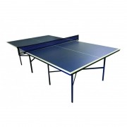 Kit Tênis De Mesa ( Ping Pong ) Standard Com Mesa Raquetes E Rede - Fácil Esporte