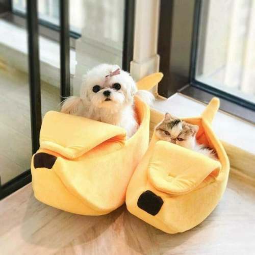 Cama Pet Caminha para Cachorro Gato Banana Casinha Toca Cão