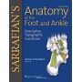 Livro Sarrafians Anatomy Of The Foot And Ankle