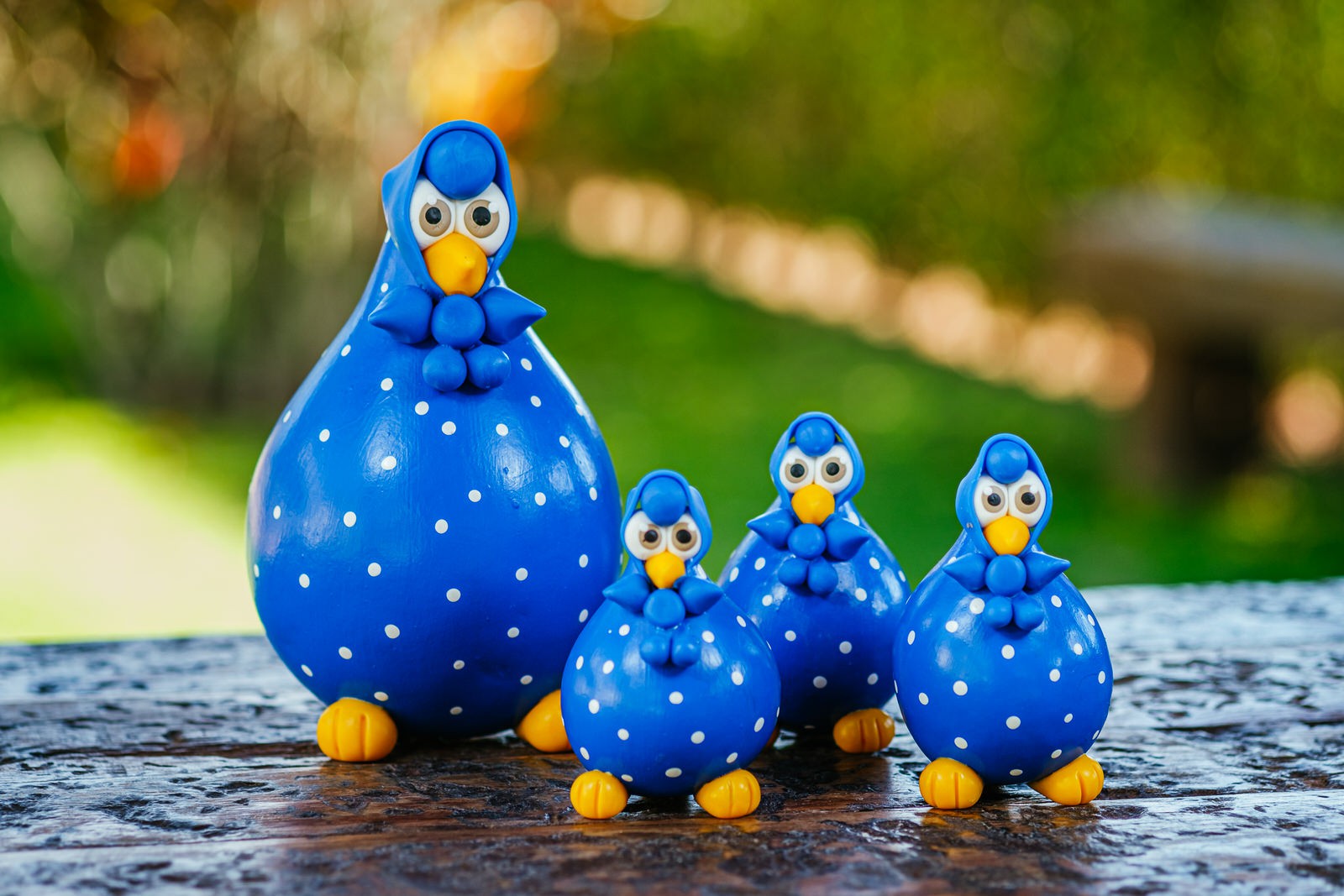 Família de Galinhas Azuis em Cabaça com Lenço