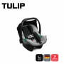 Bebê conforto Abc Design Tulip Salsa 3 graphit gray com base isofix